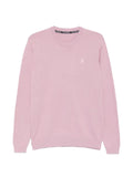 Karl Lagerfeld embroidered-logo sweater